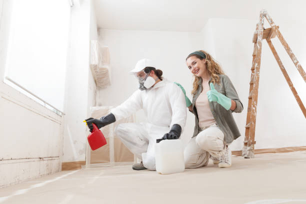 Reliable Madisonville, KY Mold Removal Solutions